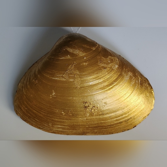 DIY Decoupage Shell Kit - Picture 6 of 7